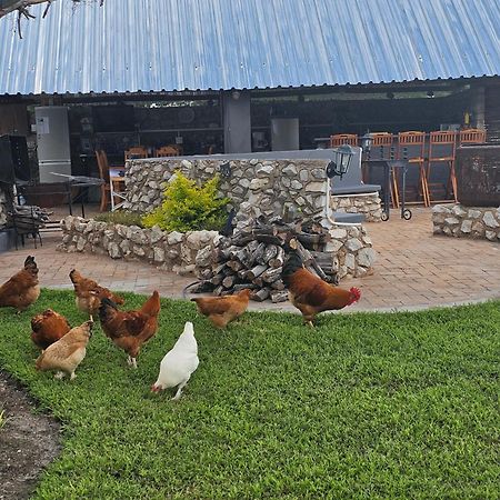 Tamboti Farm Accommodation Tsumeb Esterno foto