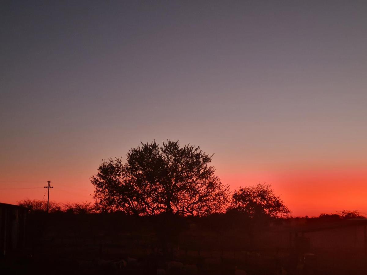Tamboti Farm Accommodation Tsumeb Esterno foto