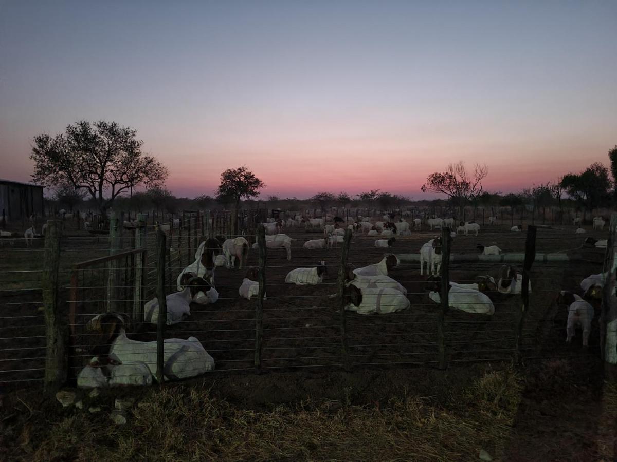 Tamboti Farm Accommodation Tsumeb Esterno foto