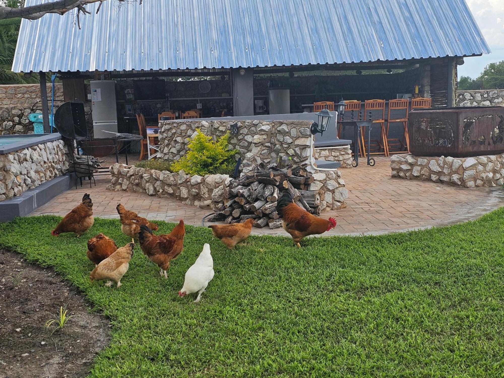 Tamboti Farm Accommodation Tsumeb Esterno foto